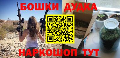 индика Мариинск