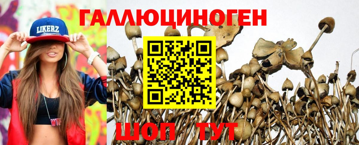 Каменск-Уральский  Псилоцибиновые грибы прущие грибы  Вход с VPN 