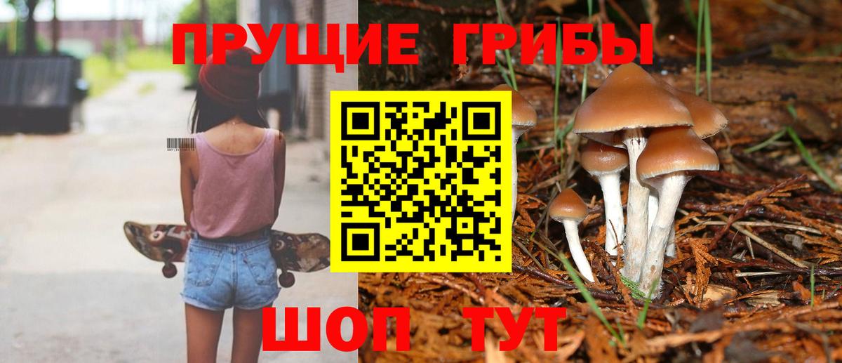 Галлюциногенные грибы Psilocybe Каменск-Уральский